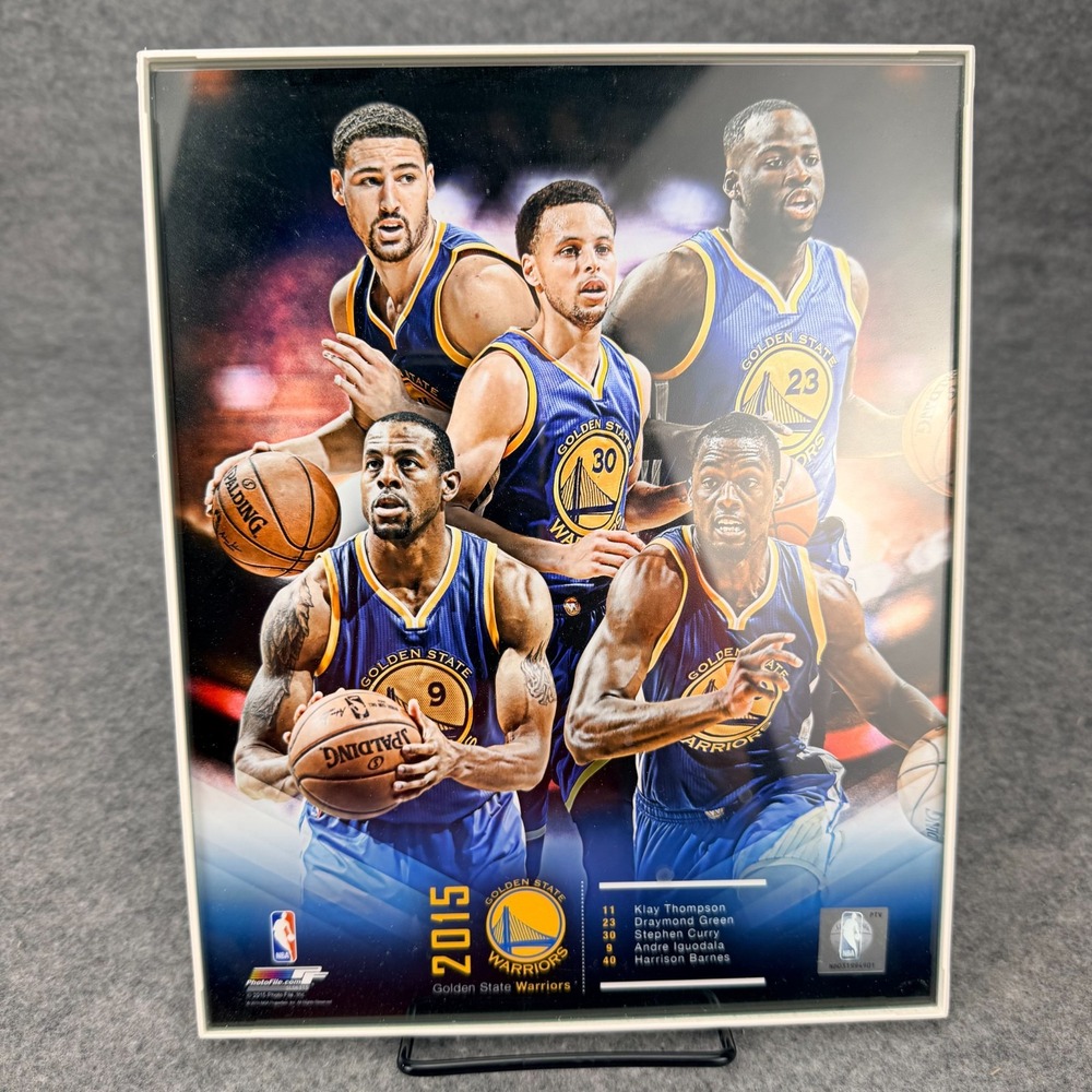 Golden State Warriors 2015 Team Photo Curry Thompson Green Iguodala Barnes NBA